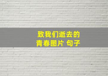 致我们逝去的青春图片 句子